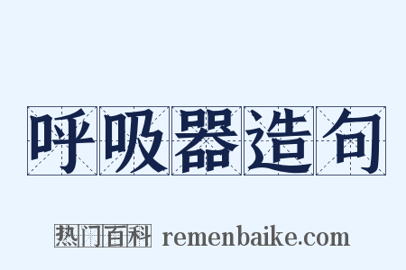 呼吸器造句是什么意思的图片